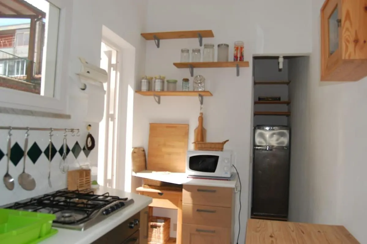 The Colorfull House Villa Viareggio Holiday home